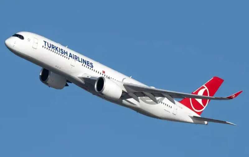 Turkish Airlines задержала рейс из Внуково почти на 13 часов
