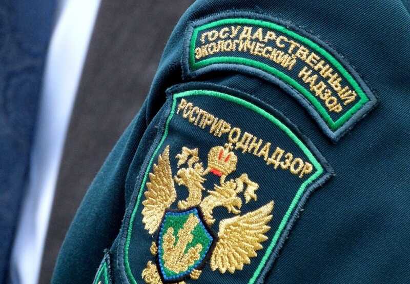 Росприроднадзор требует от «Тарховского» сотни миллионов за загрязнение окружающей среды