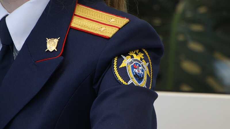 В Следственном комитете возбуждено дело о превышении полномочий полицейскими